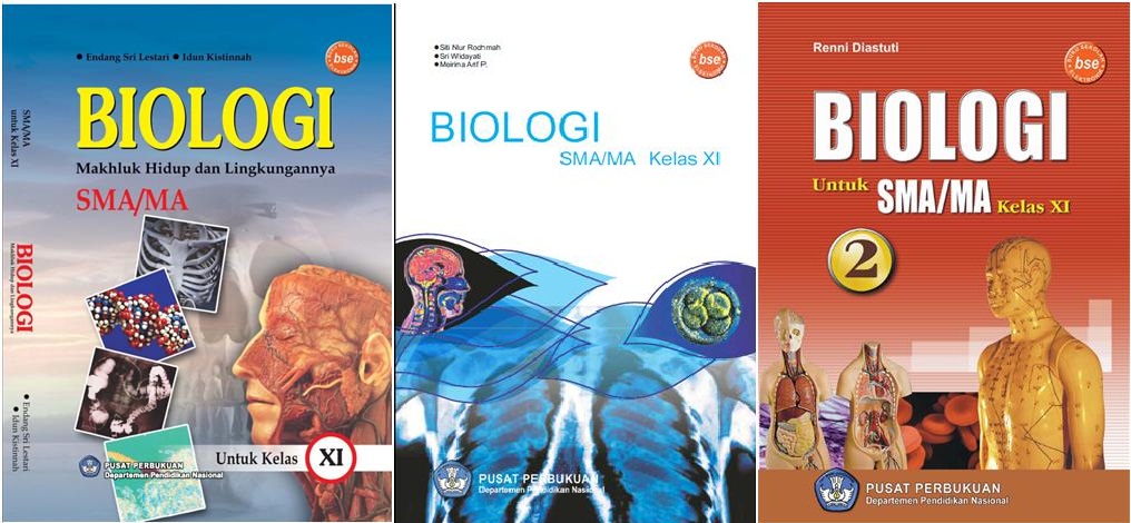 download free buku biologi kelas xi erlangga pdf reader